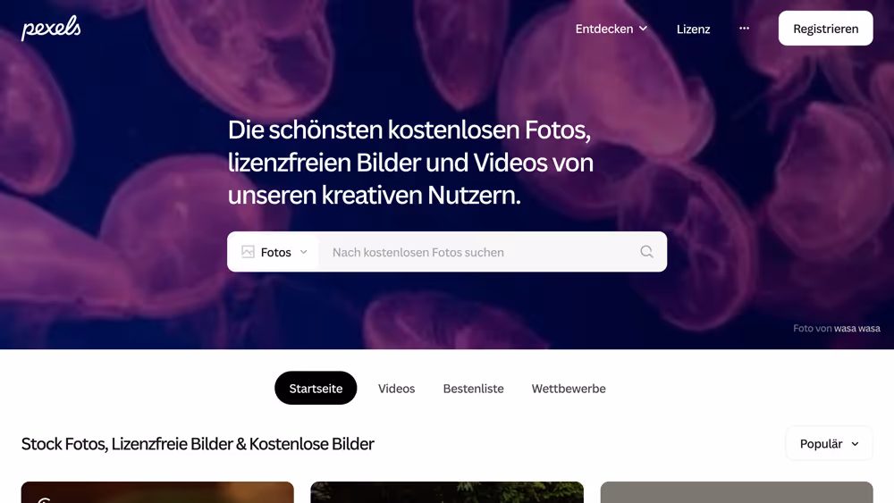 Website Pexels